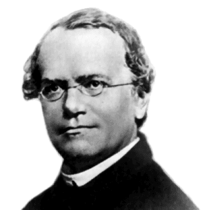 #2 Mendelian Genetics — Top 10 Biology Discoveries That Transformed Medicine, Agriculture, and Life Science