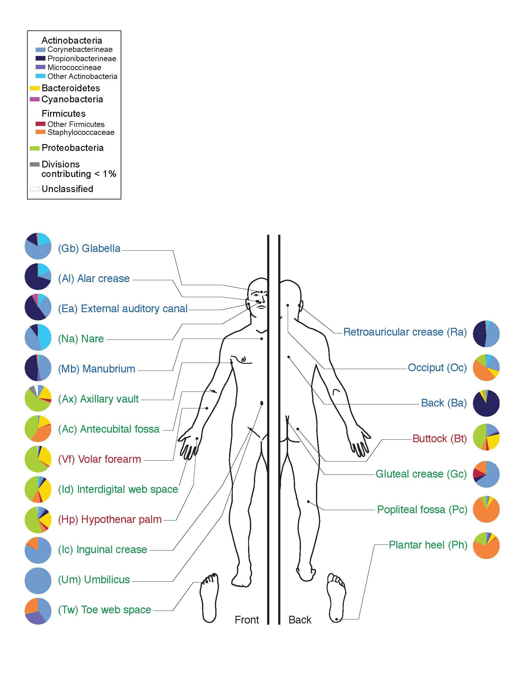 #10 Microbiome Characterization — Top 10 Biology Discoveries That Transformed Medicine, Agriculture, and Life Science