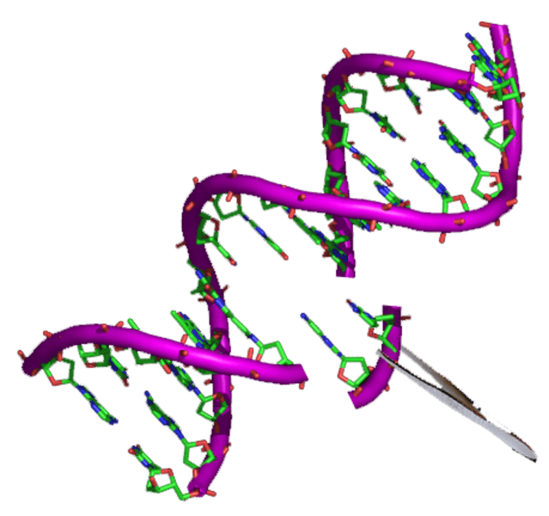 #7 Editing Embryos for Disability Elimination — Top 10 Most Controversial Gene Editing Applications