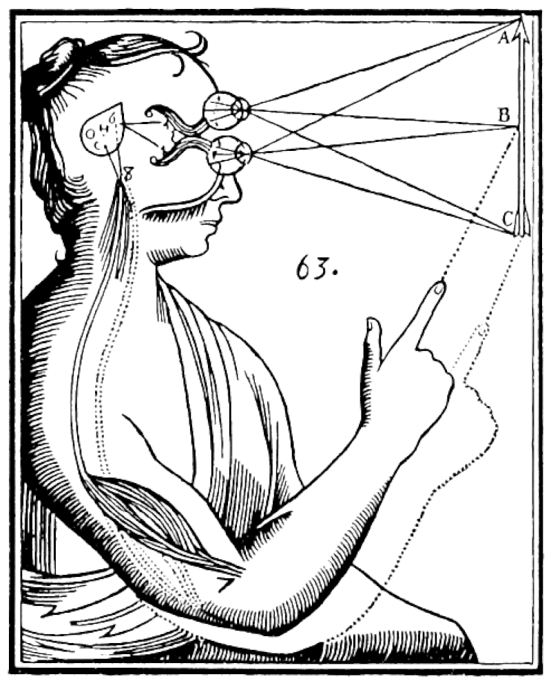 #9 Panpsychism and Artificial Minds — Top 10 Most Debated: Can AI Be Conscious?