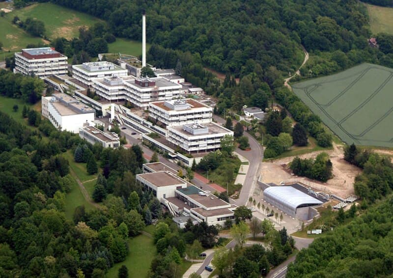 #5 Primate Brain Research at Max Planck Institute — Top 10 Most Controversial Animal Testing Debates