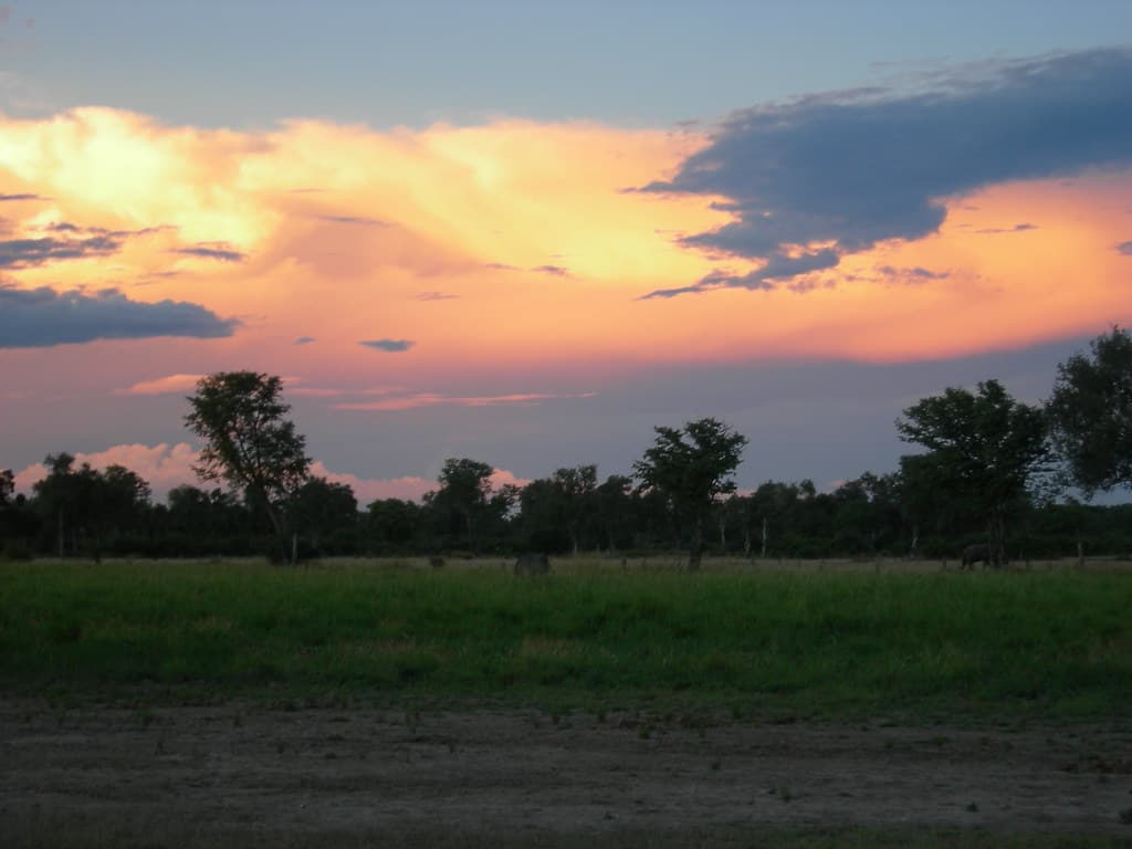 #4 South Luangwa National Park, Zambia — Top 10 Best Wildlife Safari Destinations