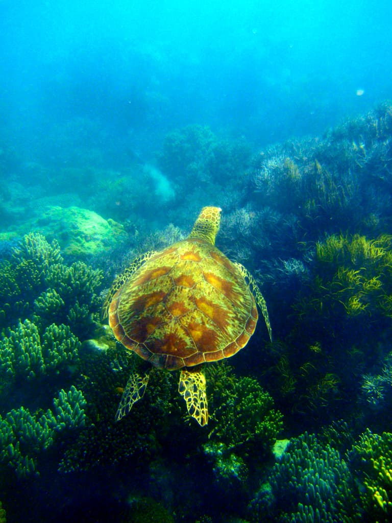 #2 Great Barrier Reef, Australia — Top 10 Most Stunning Natural Wonders