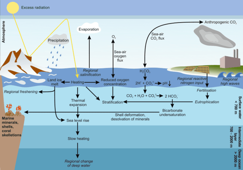 #9 Ocean Acidification and Fisheries Collapse — Top 10 Most Debated Climate Change Effects