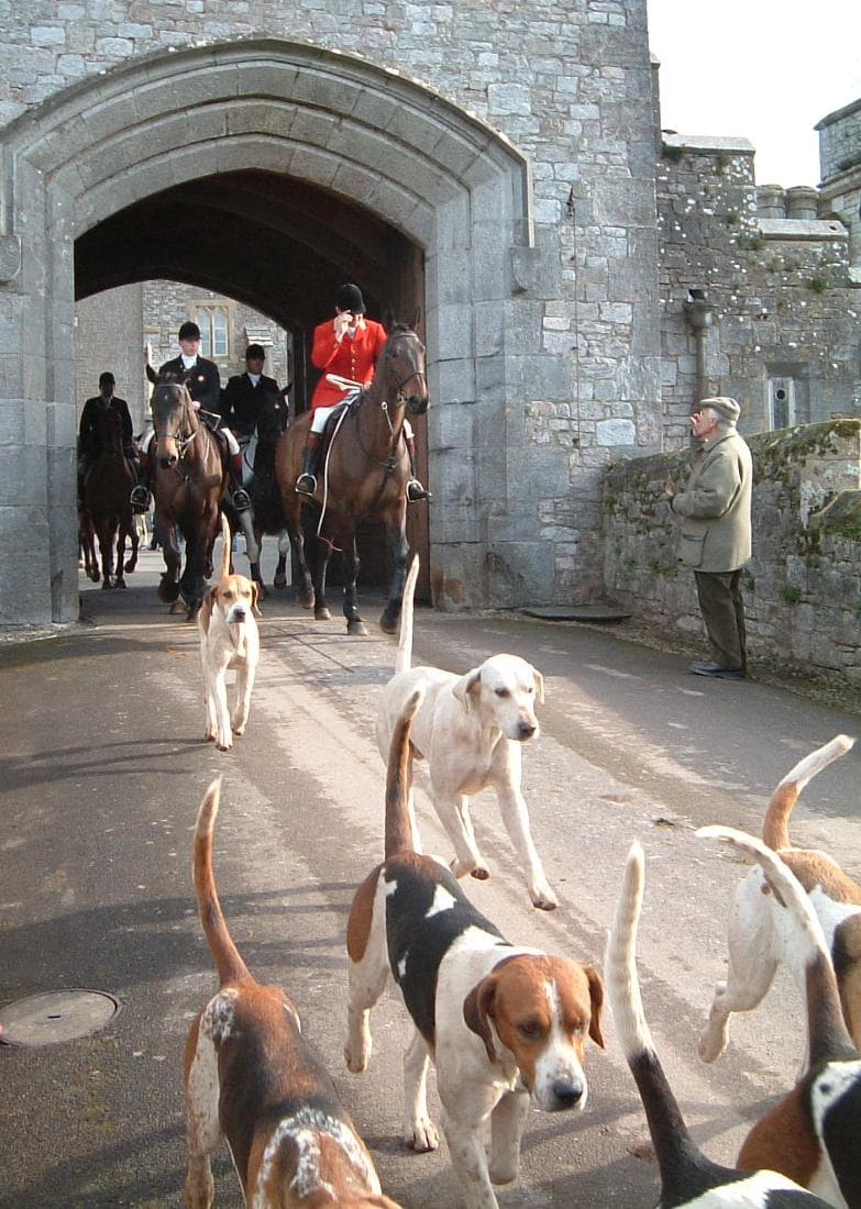 #4 Fox Hunting with Hounds in the UK — Top 10 Most Controversial Hunting Practices