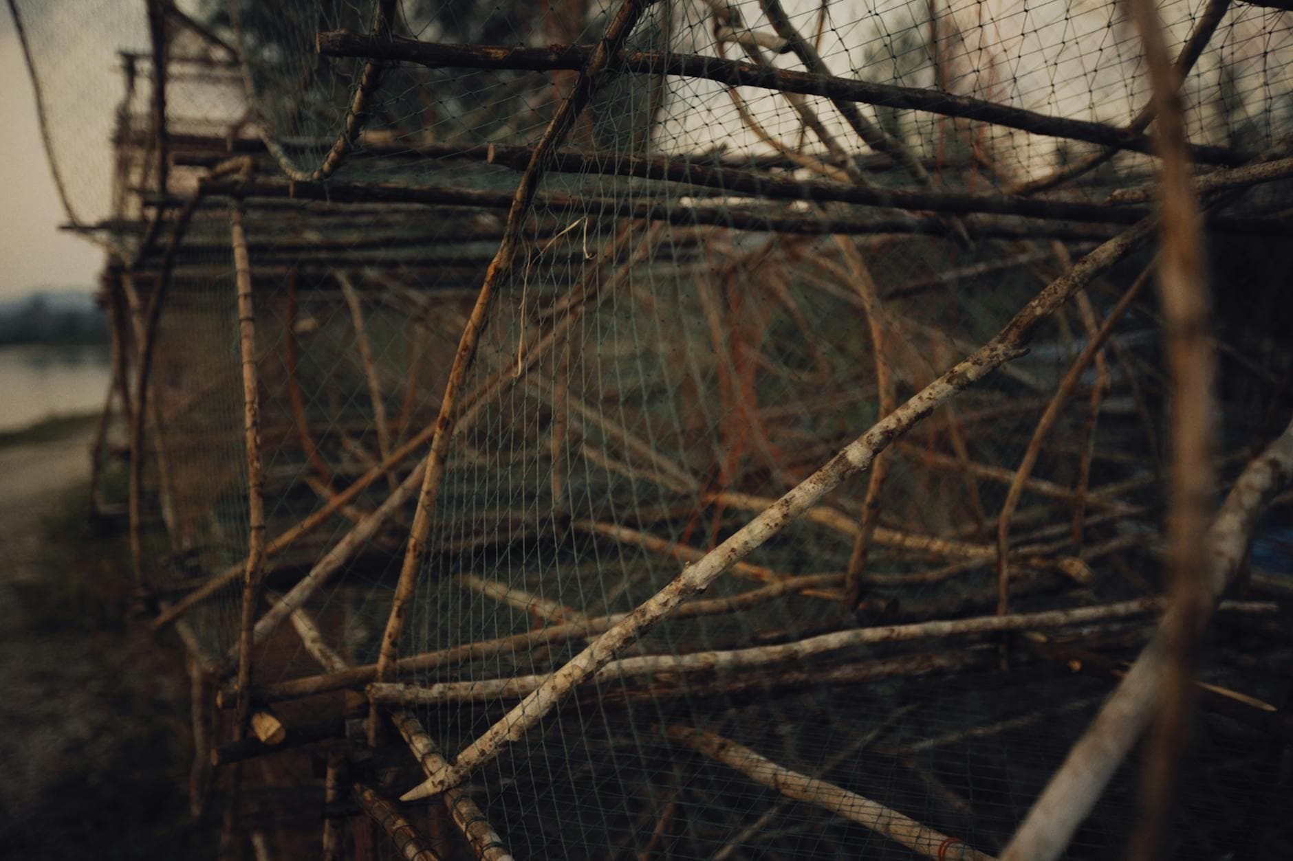 #8 Bird Trapping with Lime Sticks in the Mediterranean — Top 10 Most Controversial Hunting Practices