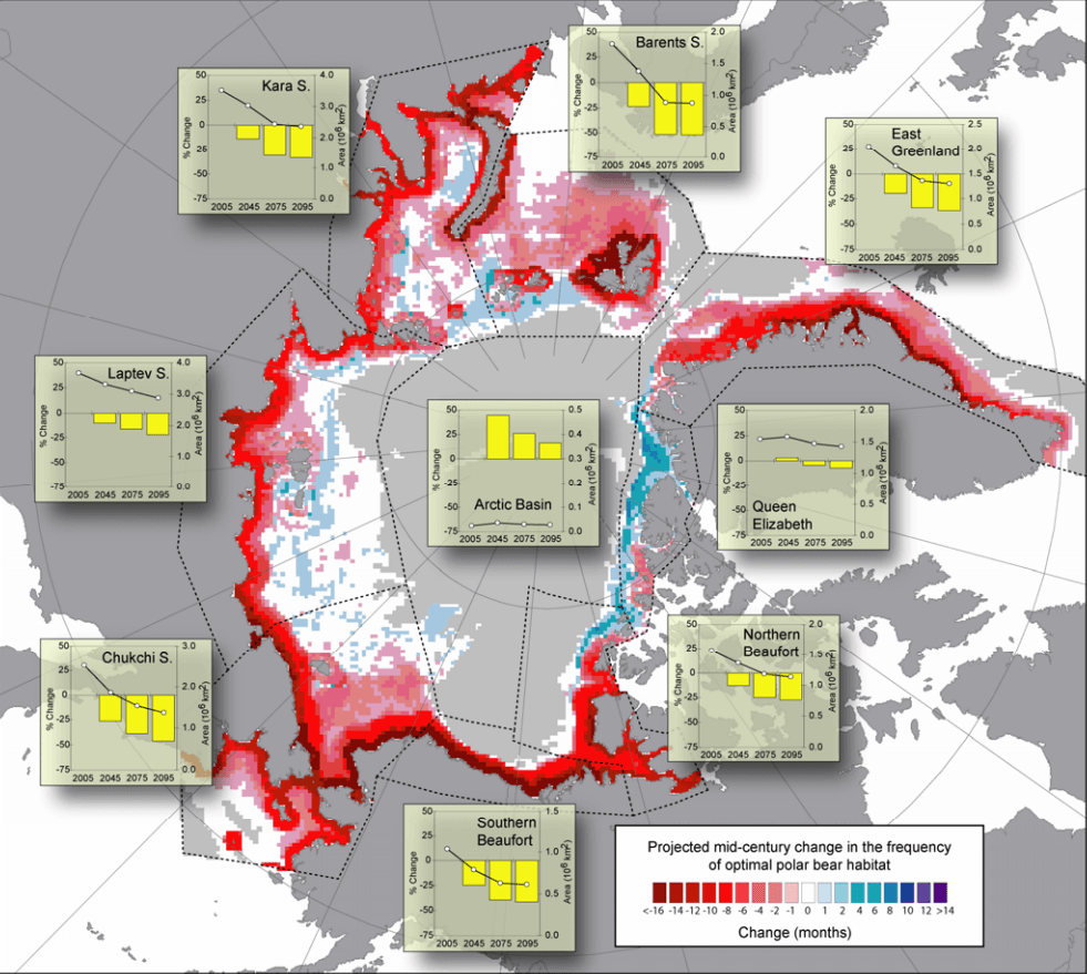 #9 Polar Bear Sport Hunting in Canada — Top 10 Most Controversial Hunting Practices