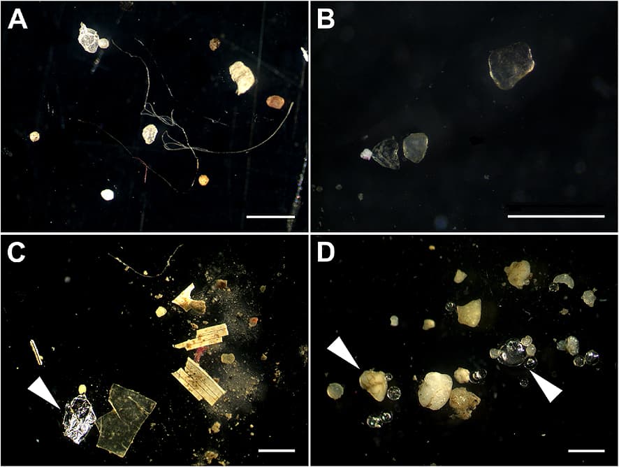 #7 Microplastics from Synthetic Textiles — Top 10 Worst Ocean Pollution Sources