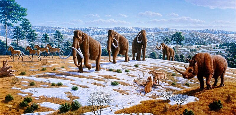 #7 Quaternary Megafauna Extinction (50,000-10,000 years ago) — Top 10 Worst Extinction Events in History