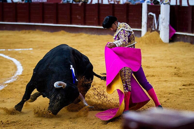 #3 Bullfighting Traditions in Spain and Latin America — Top 10 Most Controversial Animal Rights Issues