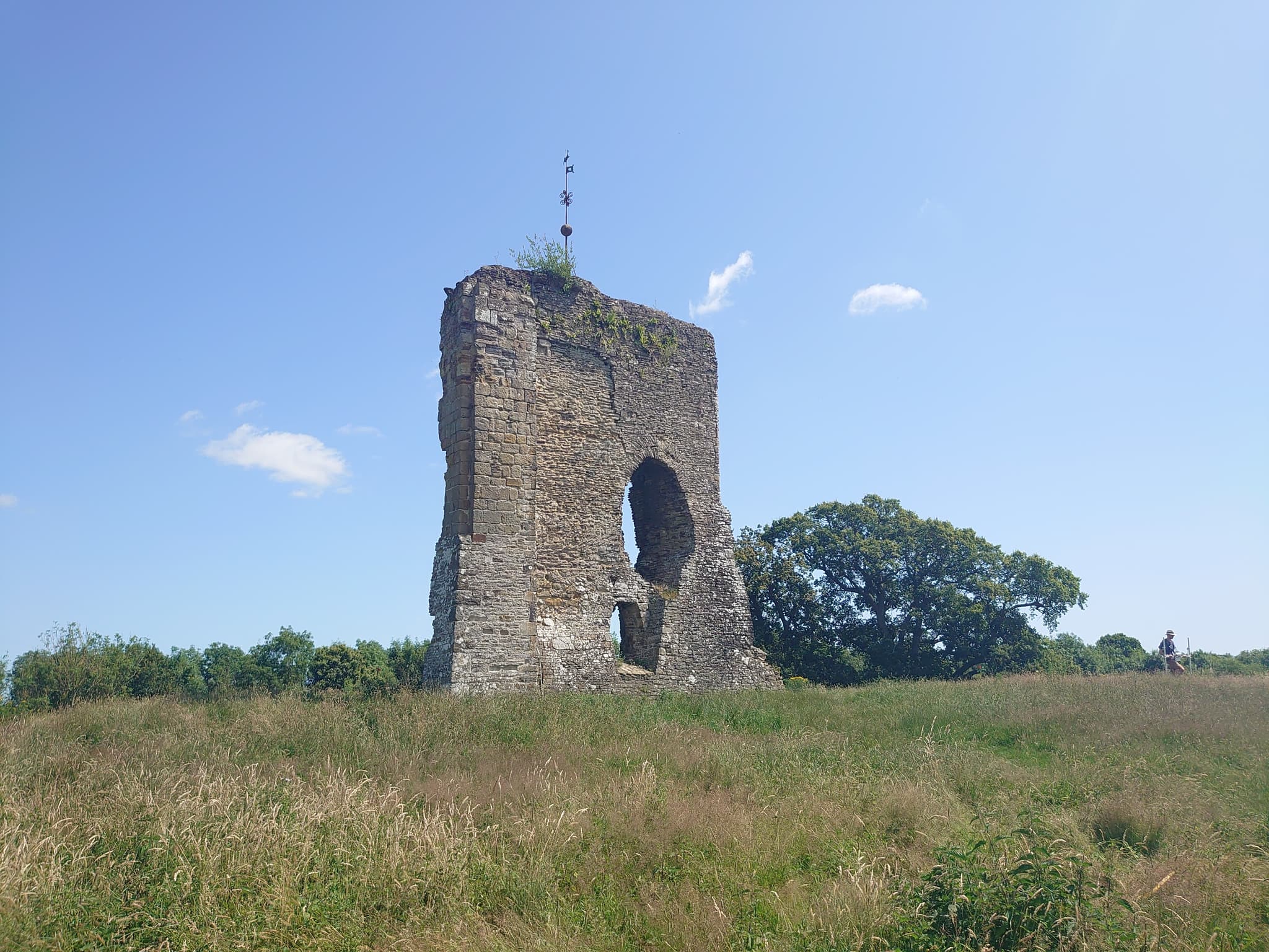 #4 Knepp Estate Rewilding, United Kingdom — Top 10 Most Polarizing Rewilding Projects in 2026: Controversial Rewilding Cases