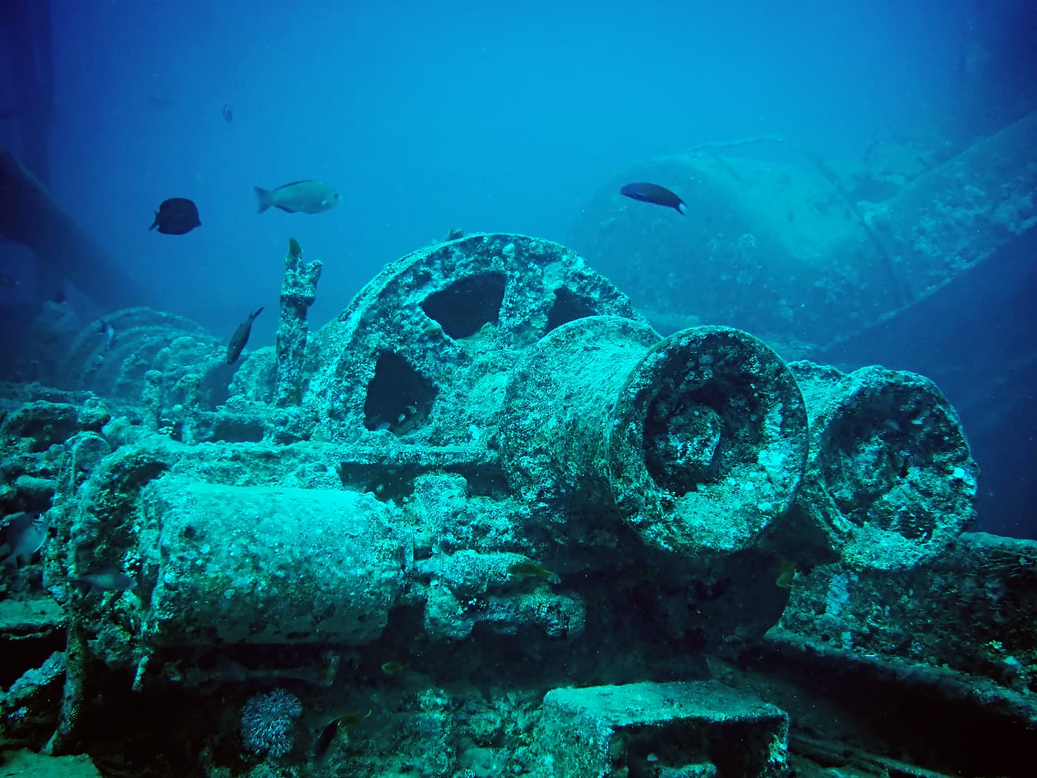 #4 SS Thistlegorm, Red Sea, Egypt — Top 10 Best Diving Ecosystems
