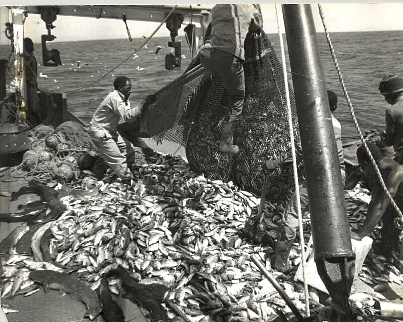 #2 Fishing Industry Ghost Gear — Top 10 Most Damaging Plastic Pollution Sources Choking Our Planet
