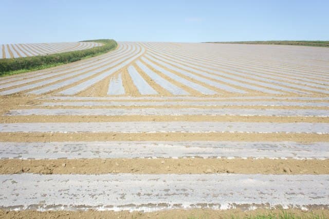 #7 Agricultural Plastic Films and Mulch — Top 10 Most Damaging Plastic Pollution Sources Choking Our Planet