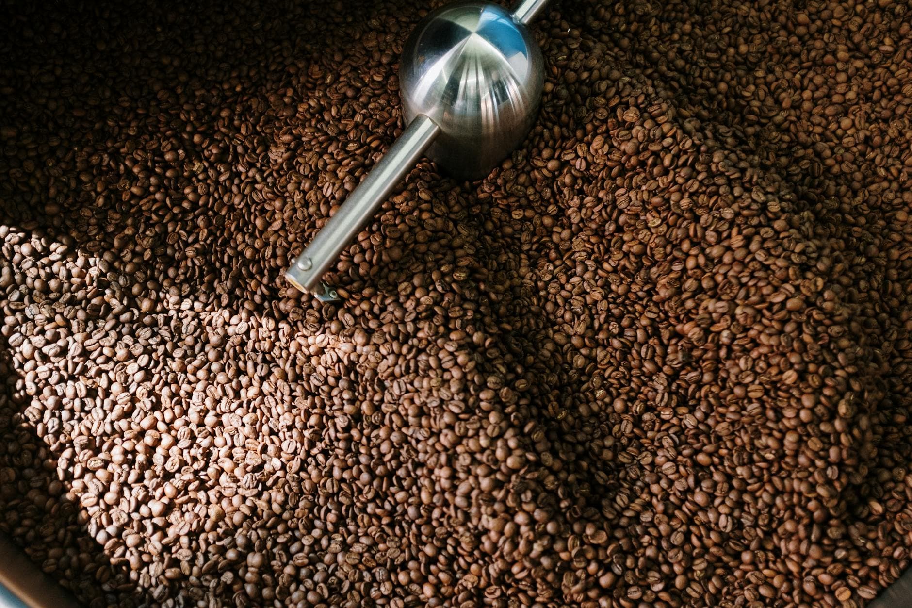 #5 Verve Coffee Roasters — Top 10 Coffee Roasters in the USA 2026