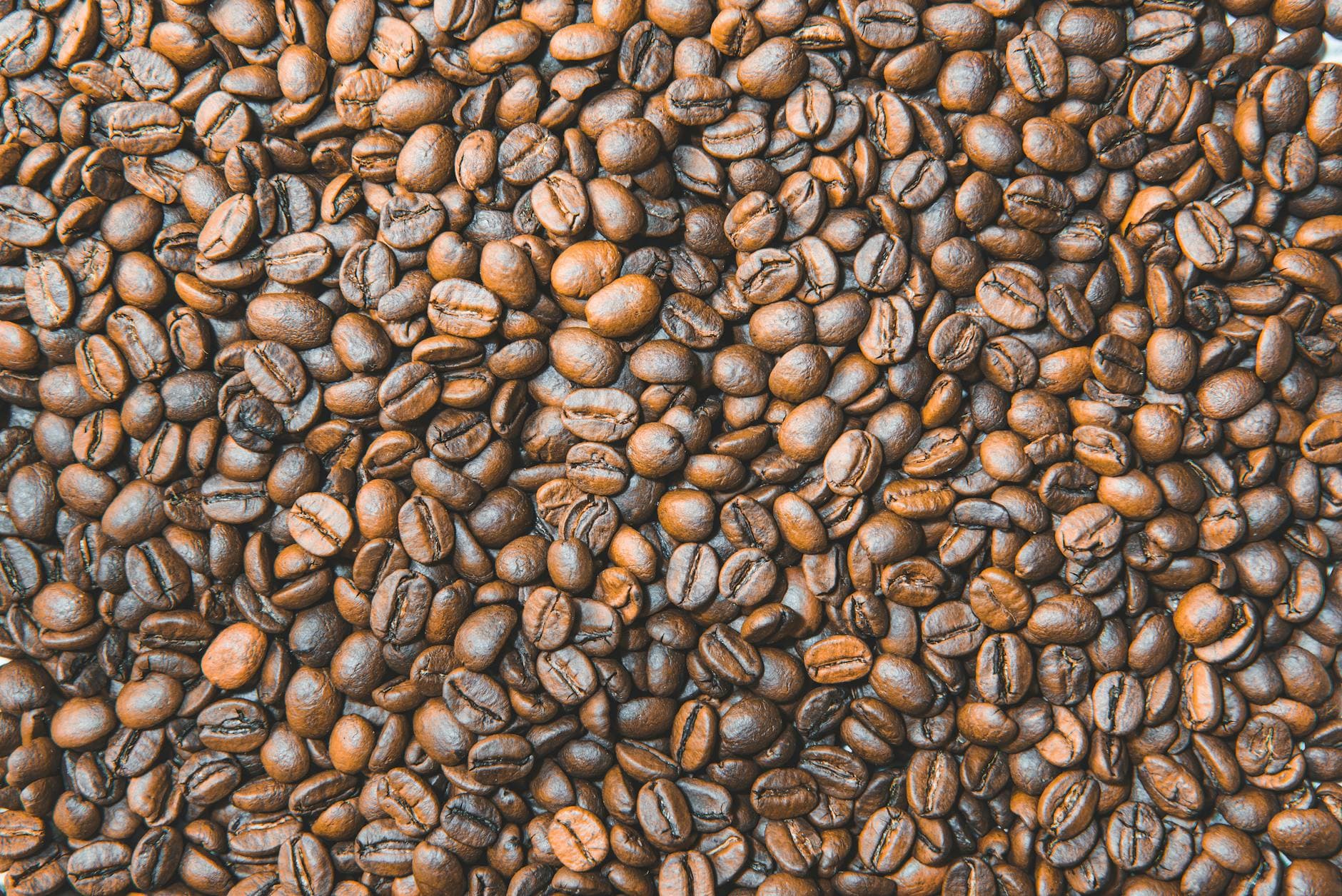 #7 Fuel Espresso — Top 10 Coffee Shops in Central Hong Kong 2026