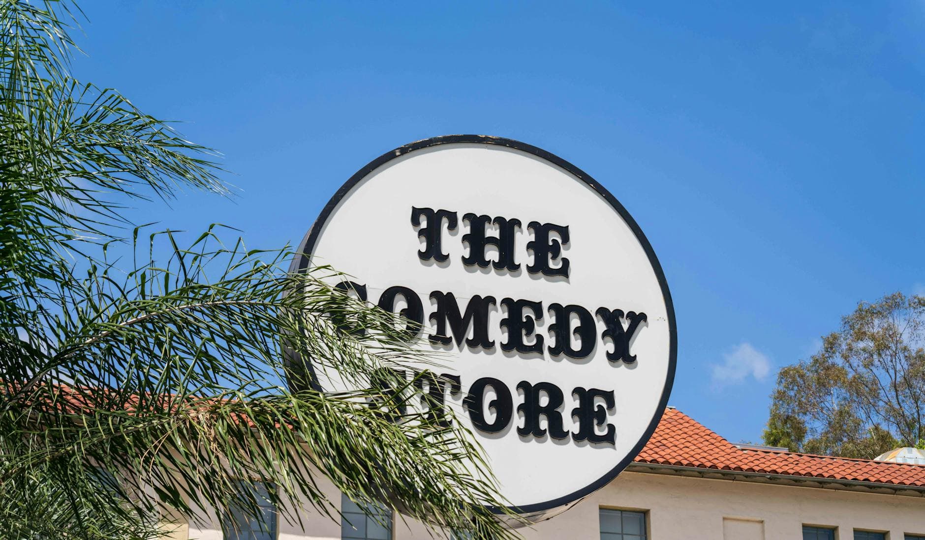 #7 Monkey Business Comedy Club — Top 10 Comedy Clubs in London 2026