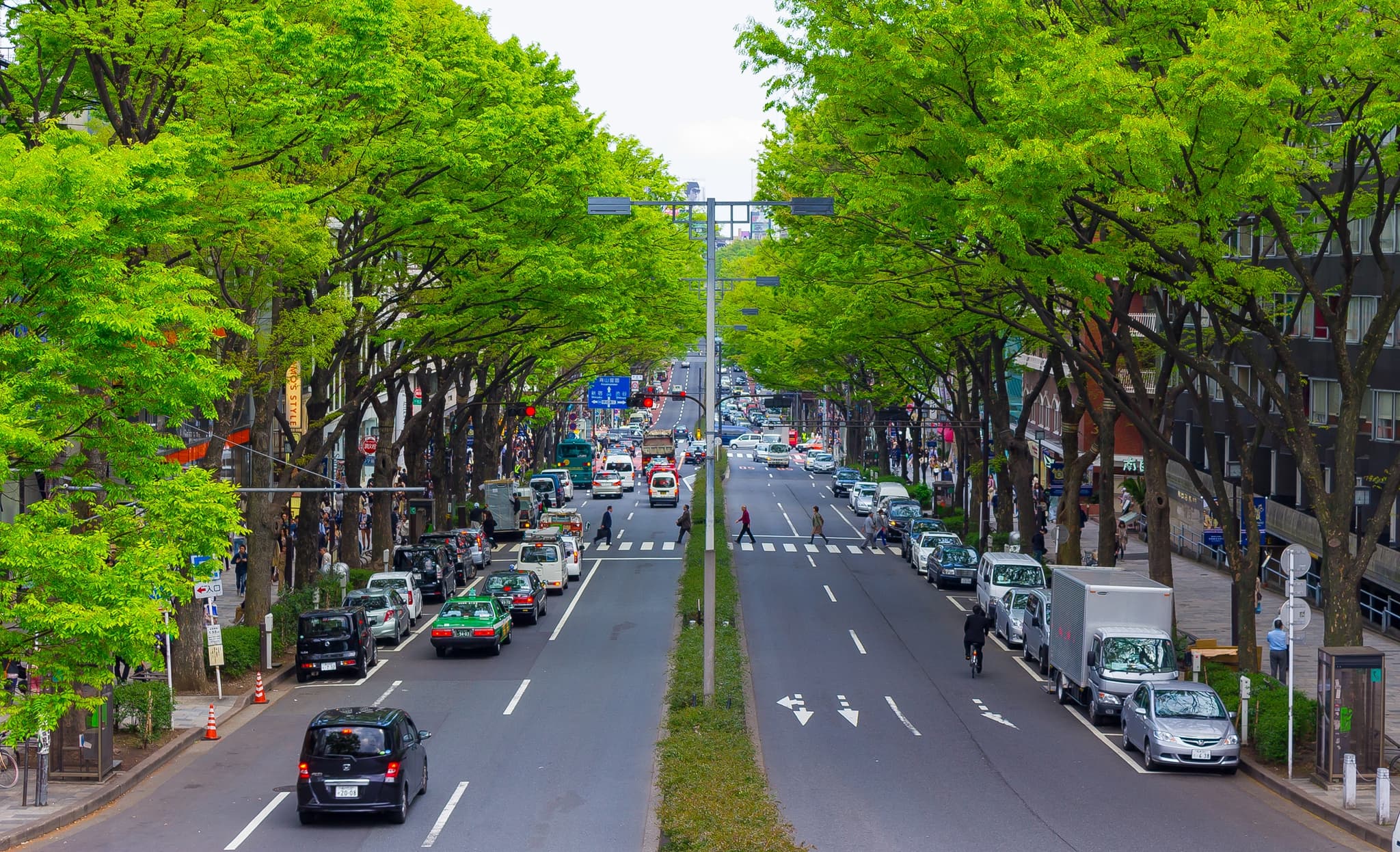 #3 Omotesando — Top 10 Shopping Streets in Tokyo 2026