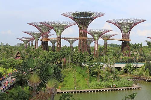 #1 Gardens by the Bay — Top 10 Parks and Gardens in Singapore 2026