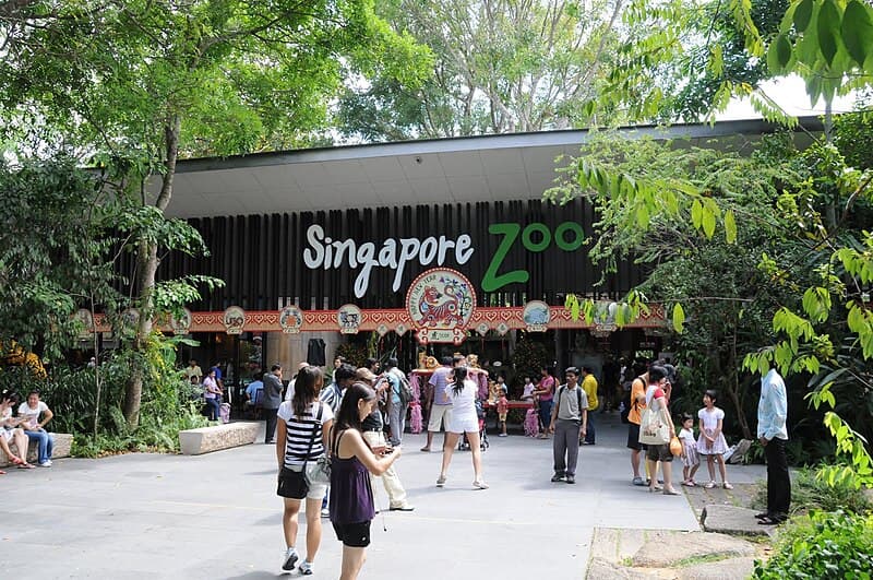 #3 Singapore Zoo — Top 10 Family Attractions in Singapore 2026