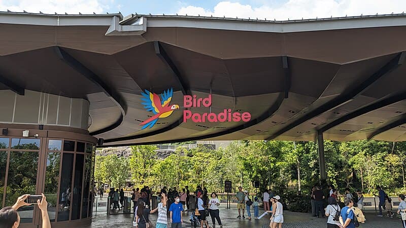 #10 Bird Paradise — Top 10 Family Attractions in Singapore 2026