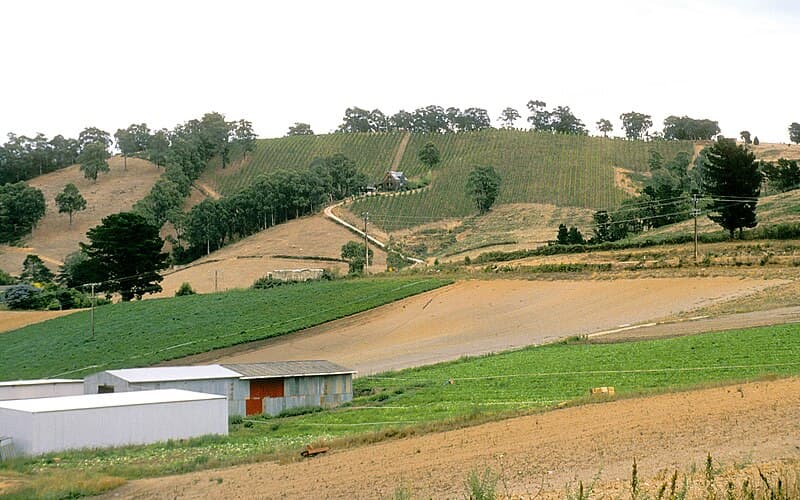 #9 Adelaide Hills — Top 10 Wine Regions in Australia 2026