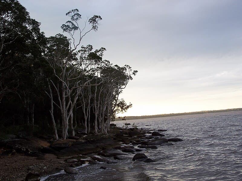 #8 Noosa Everglades Canoe Camping — Top 10 Camping Grounds in Australia 2026