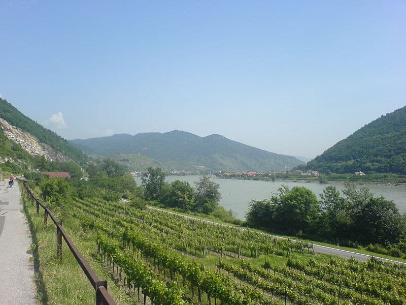 #5 Danube Cycle Path — Top 10 Cycling Routes in Germany 2026