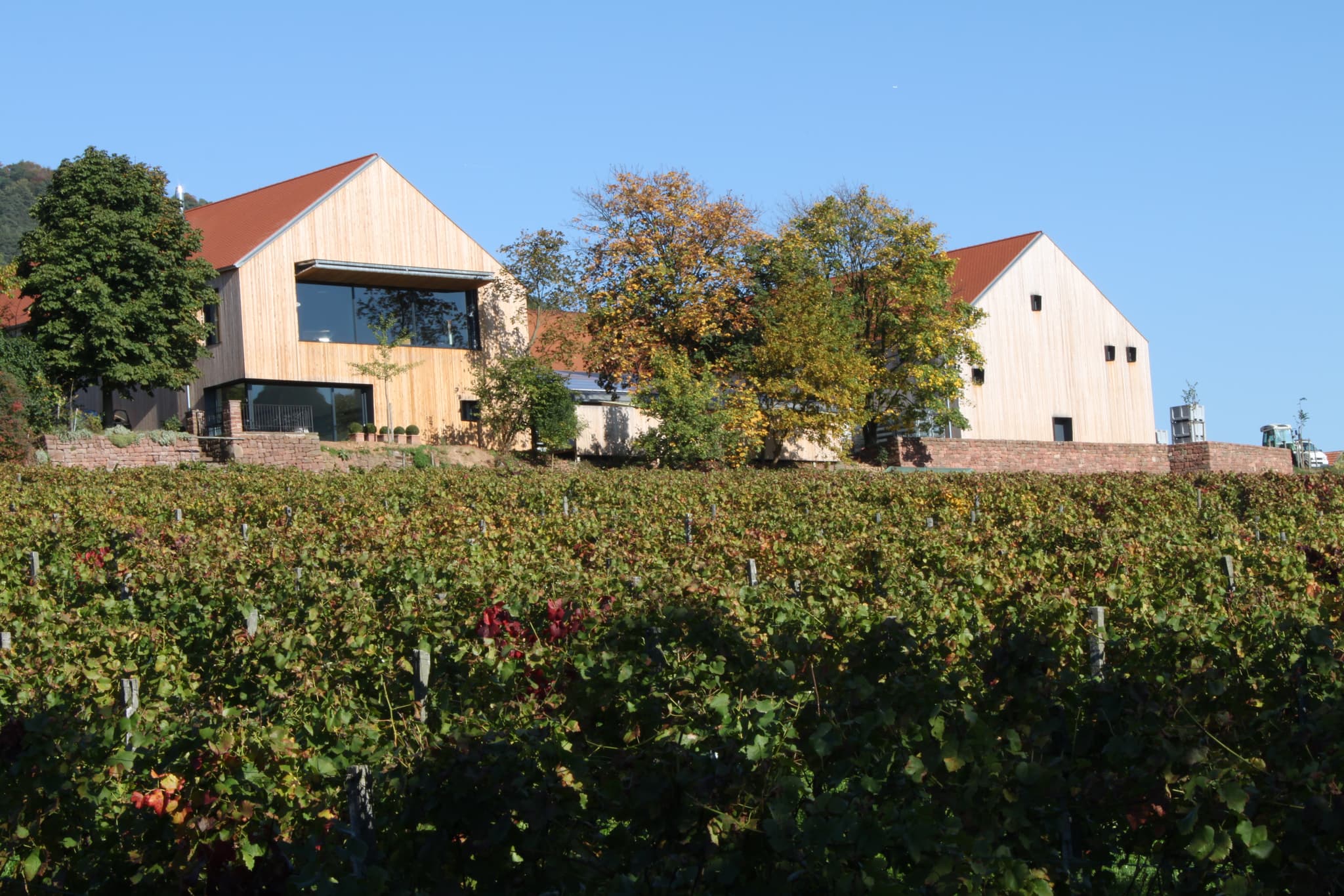 #9 Weingut Rudolf Furst — Top 10 Vineyards in Germany 2026
