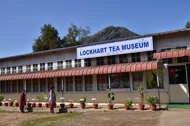 #6 Lockhart Tea Estate — Top 10 Tea Plantations in India 2026