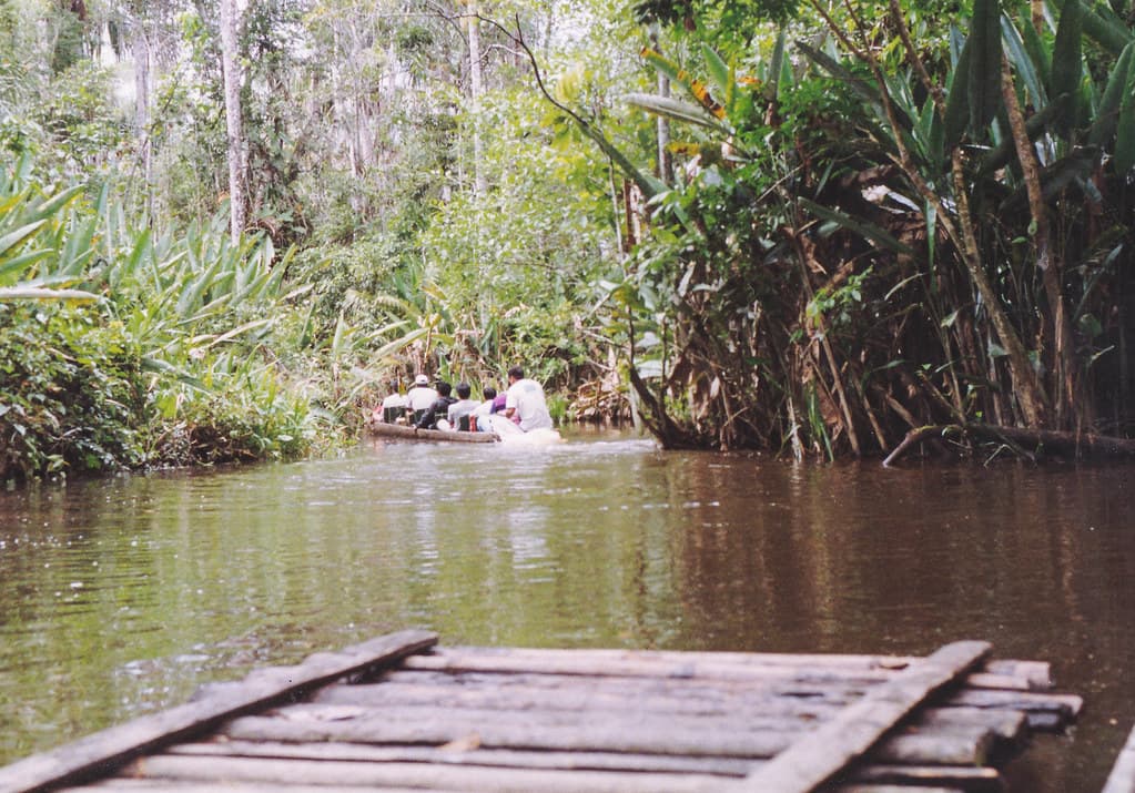 #9 Lodge Amazonia — Top 10 Eco-Lodges in the Amazon 2026