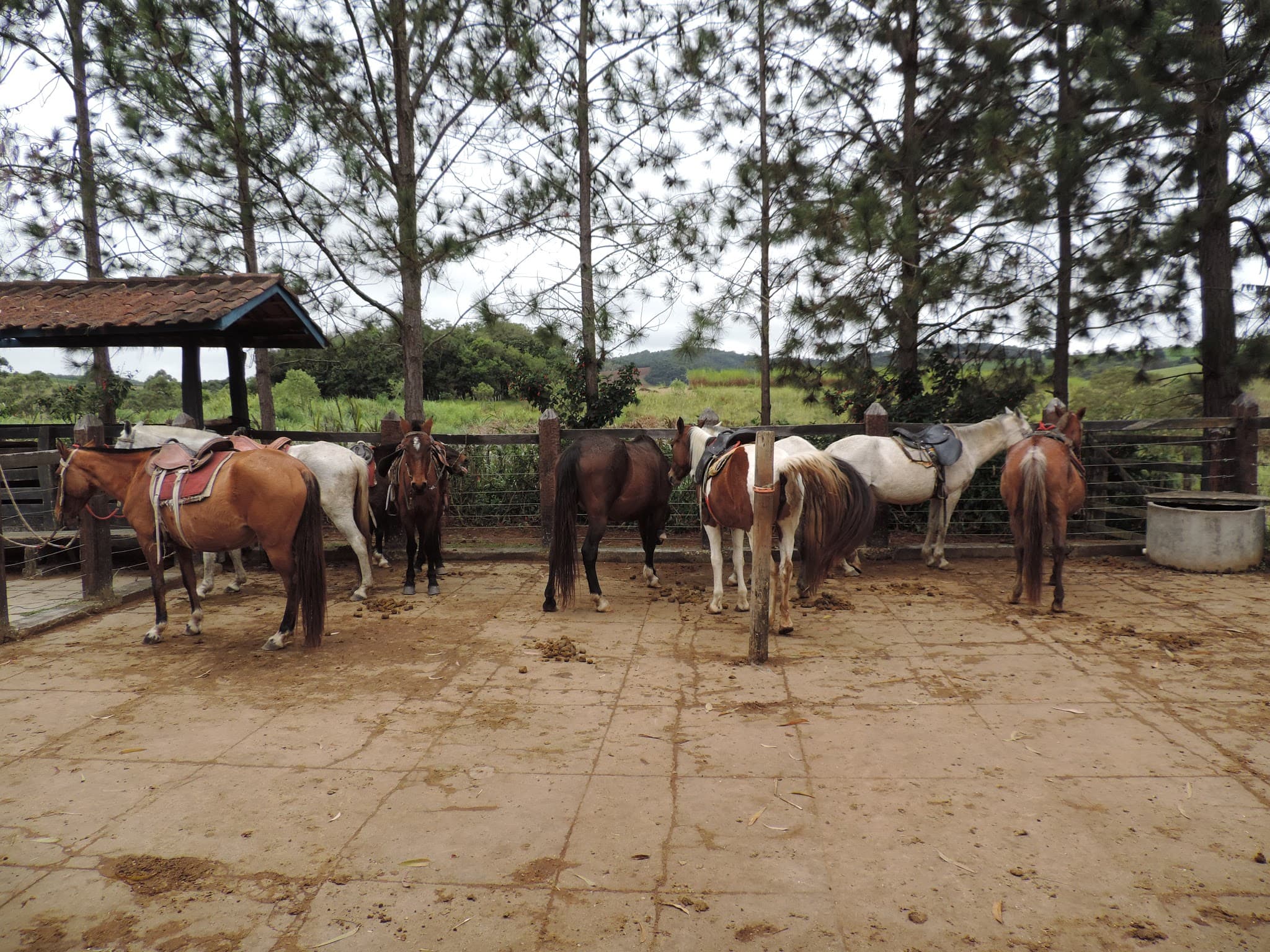 #3 Fazenda Passeio — Top 10 Coffee Farms in Brazil 2026