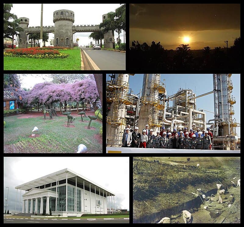 #7 Fazenda Recanto — Top 10 Coffee Farms in Brazil 2026