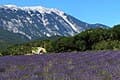 #8 Provence — Top 10 Wine Regions in France 2026