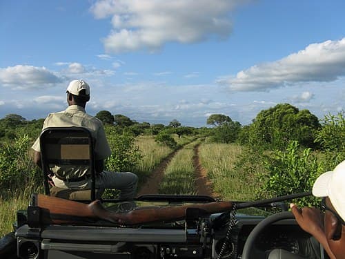#8 Phinda Private Game Reserve — Top 10 Safari Lodges in South Africa 2026