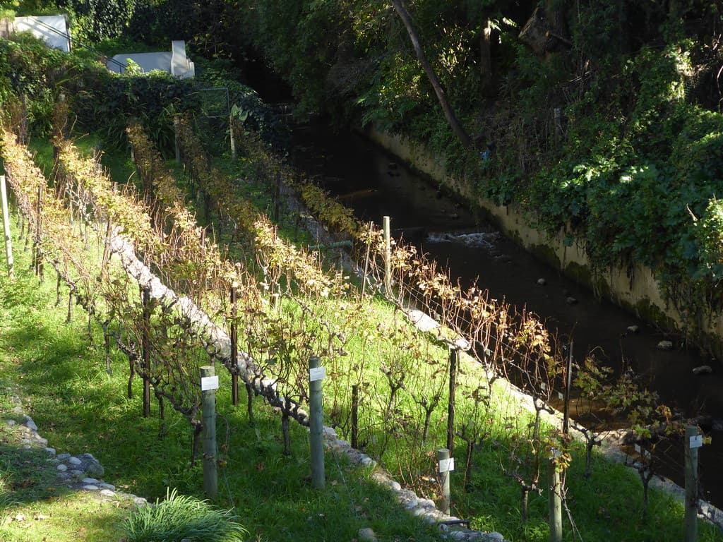 #7 Meerlust Estate — Top 10 Wine Estates in Stellenbosch 2026