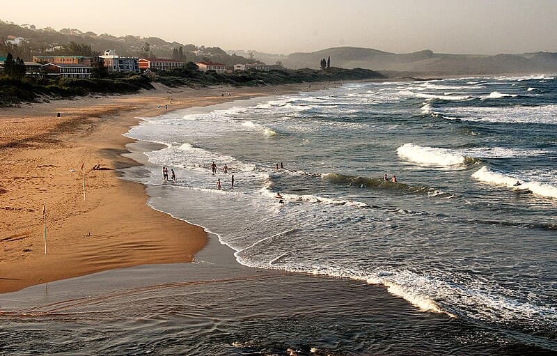 #4 Sardine Run Diving in KwaZulu-Natal — Top 10 Adventure Activities in South Africa 2026