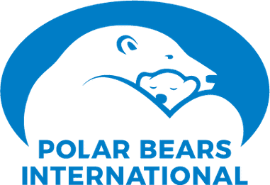 #9 Visiting Churchill for Polar Bears — Top 10 Canadian Winter Activities