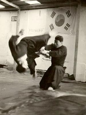 #3 Hapkido — Top 10 Korean Martial Arts to Know