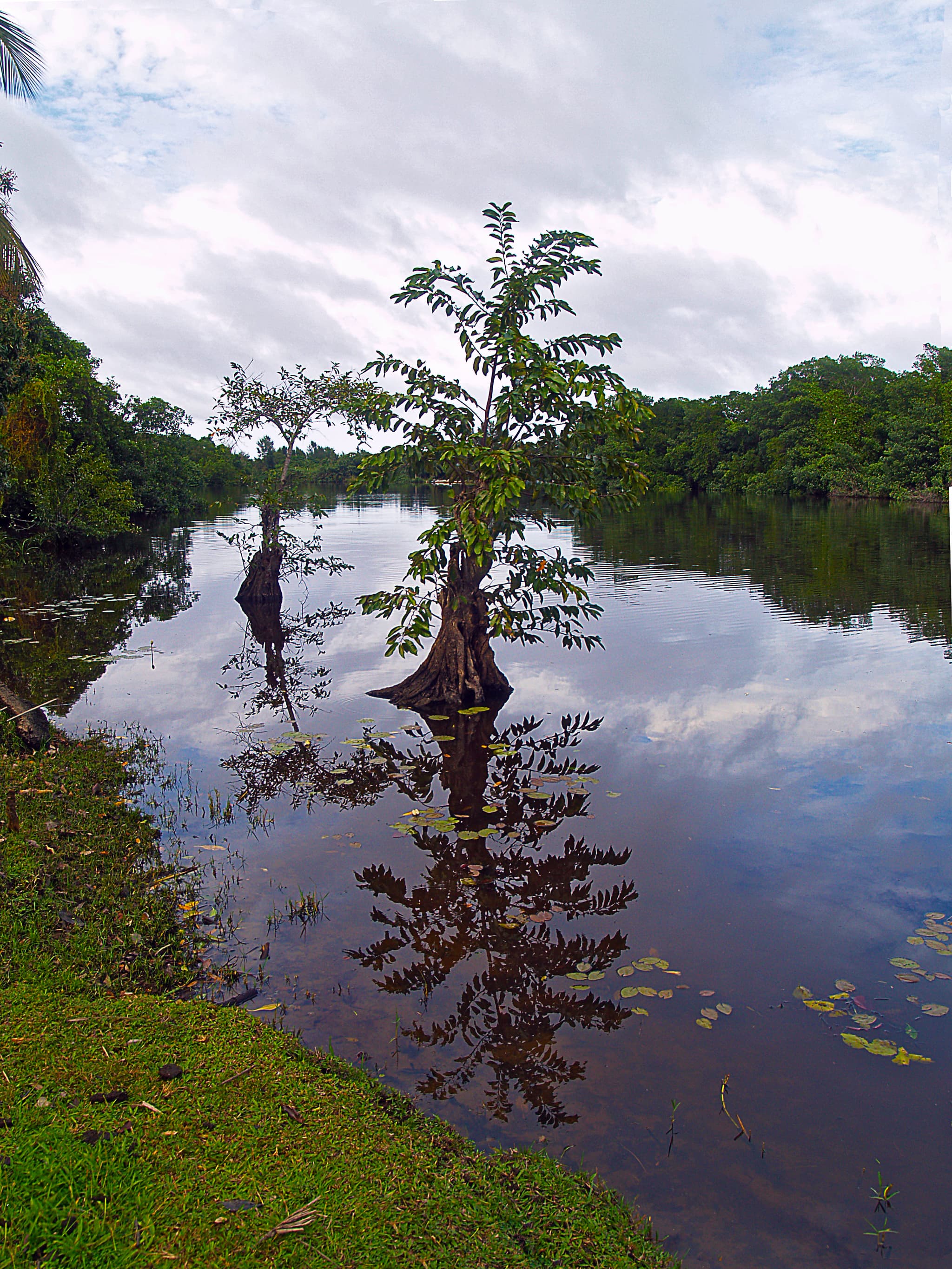 #6 Mangrove National Park Kayaking — Top 10 Things to See in Abu Dhabi in 2026