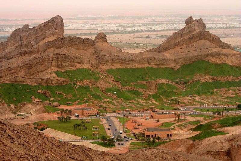 #7 Al Ain Oasis & Al Ain Zoo — Top 10 Things to See in Abu Dhabi in 2026