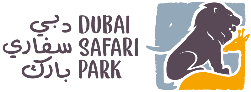 #2 Hatta Mountain Safari & Wadi Drive — Top 10 Desert Safari Experiences in the UAE in 2026