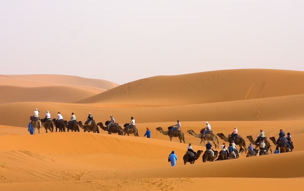 #7 Camel Trekking at Dawn (Margham Desert) — Top 10 Desert Safari Experiences in the UAE in 2026