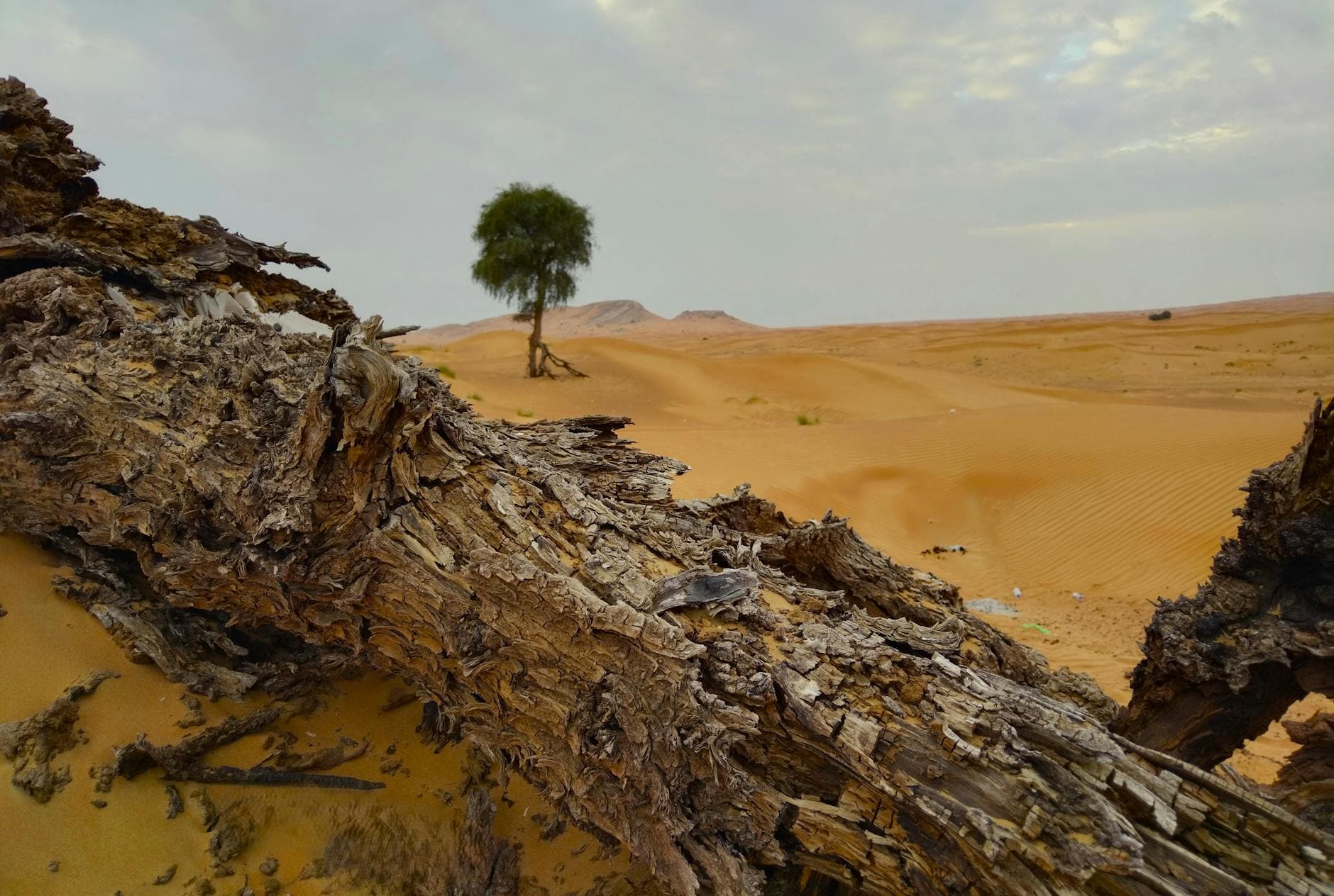 #5 Desert Sunrise from Lahbab Dunes — Top 10 Most Instagrammable Spots in Dubai in 2026