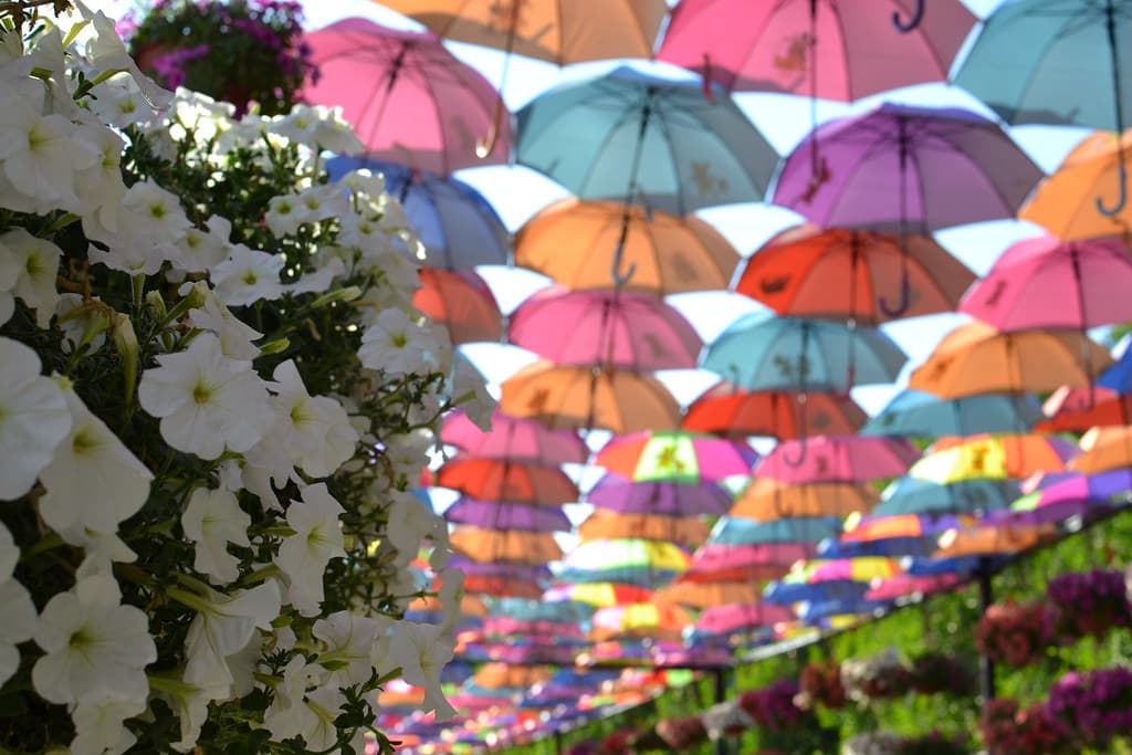 #10 Miracle Garden Dubai (Seasonal) — Top 10 Family Attractions in Dubai in 2026