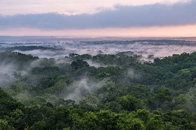 #8 Los Tuxtlas Biosphere Reserve — Top 10 Mexican Biodiversity Hotspots
