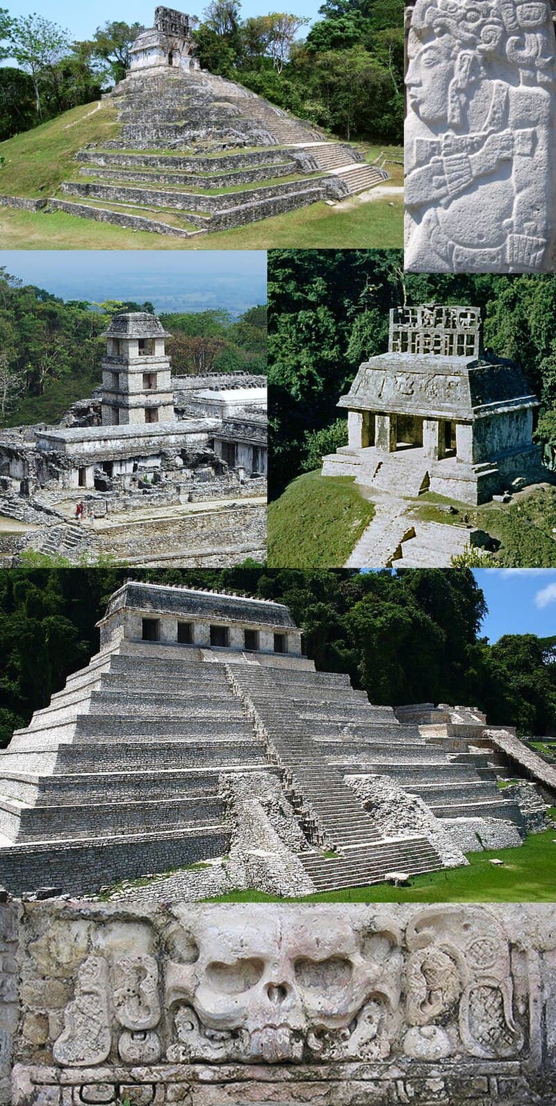 #3 Palenque National Park — Top 10 Mexican National Parks