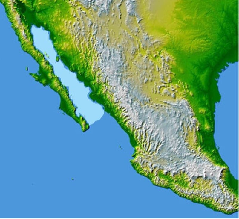 #9 Valle de los Cirios Protected Area — Top 10 Mexican National Parks