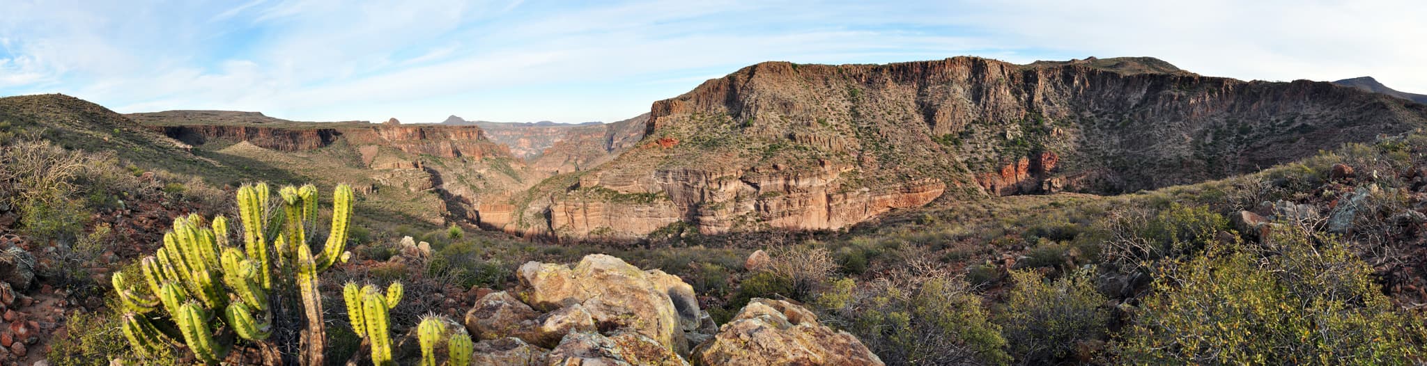#10 El Vizcaíno Biosphere Reserve — Top 10 Mexican National Parks