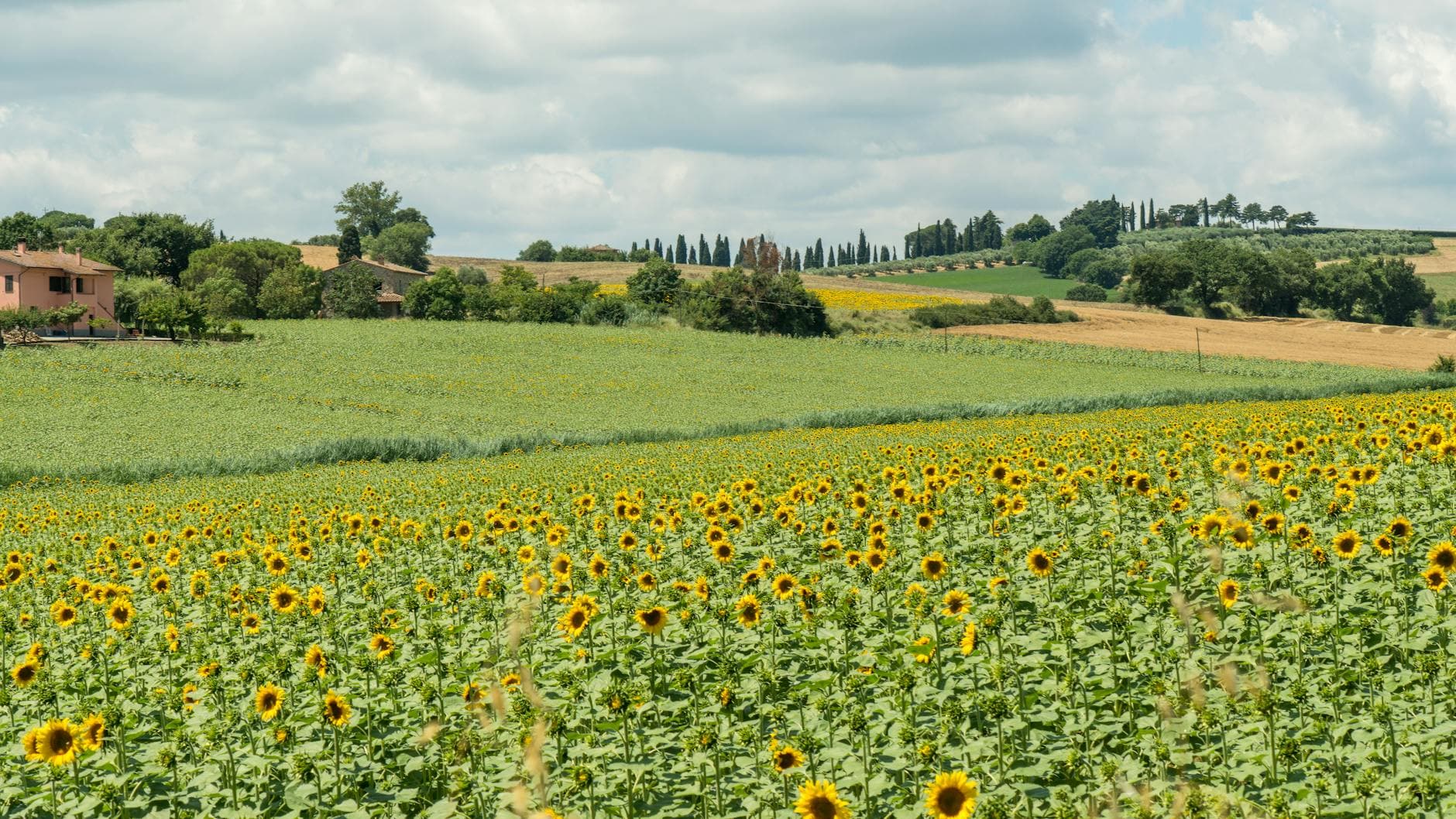 #7 Rosewood Castiglion del Bosco, Tuscany — Top 10 Italian Luxury Hotels in 2026